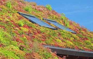 Melon Green living roof systems