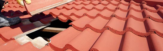 compare Melon Green roof repair quotes