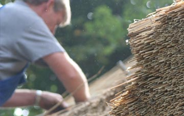 professional Melon Green thatchers